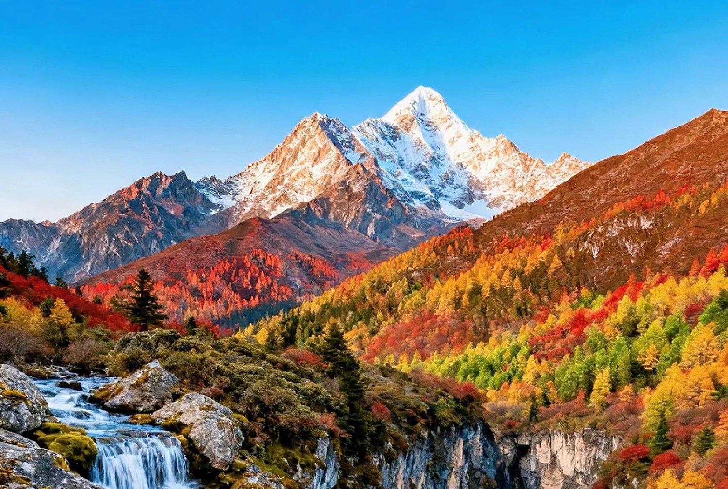 {"capa_image_quality_upload_directly_file_length_kb":"0"}