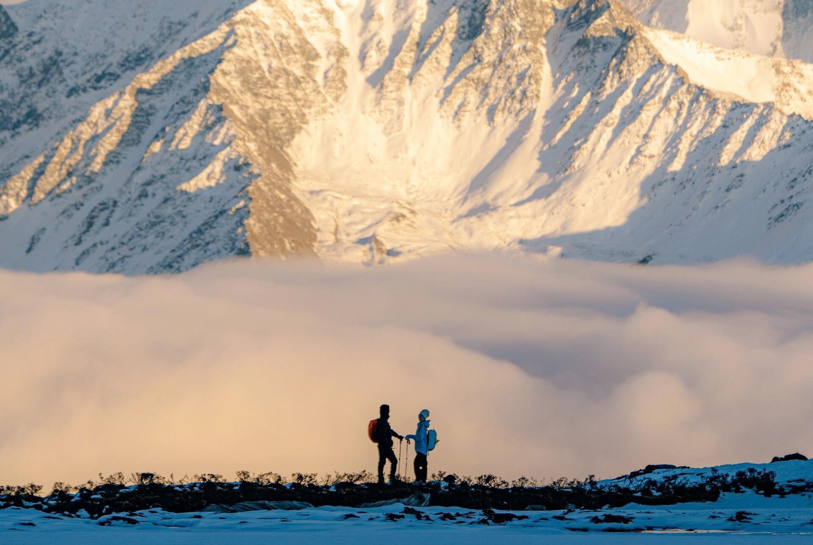 微信图片_20260225154243_280_14