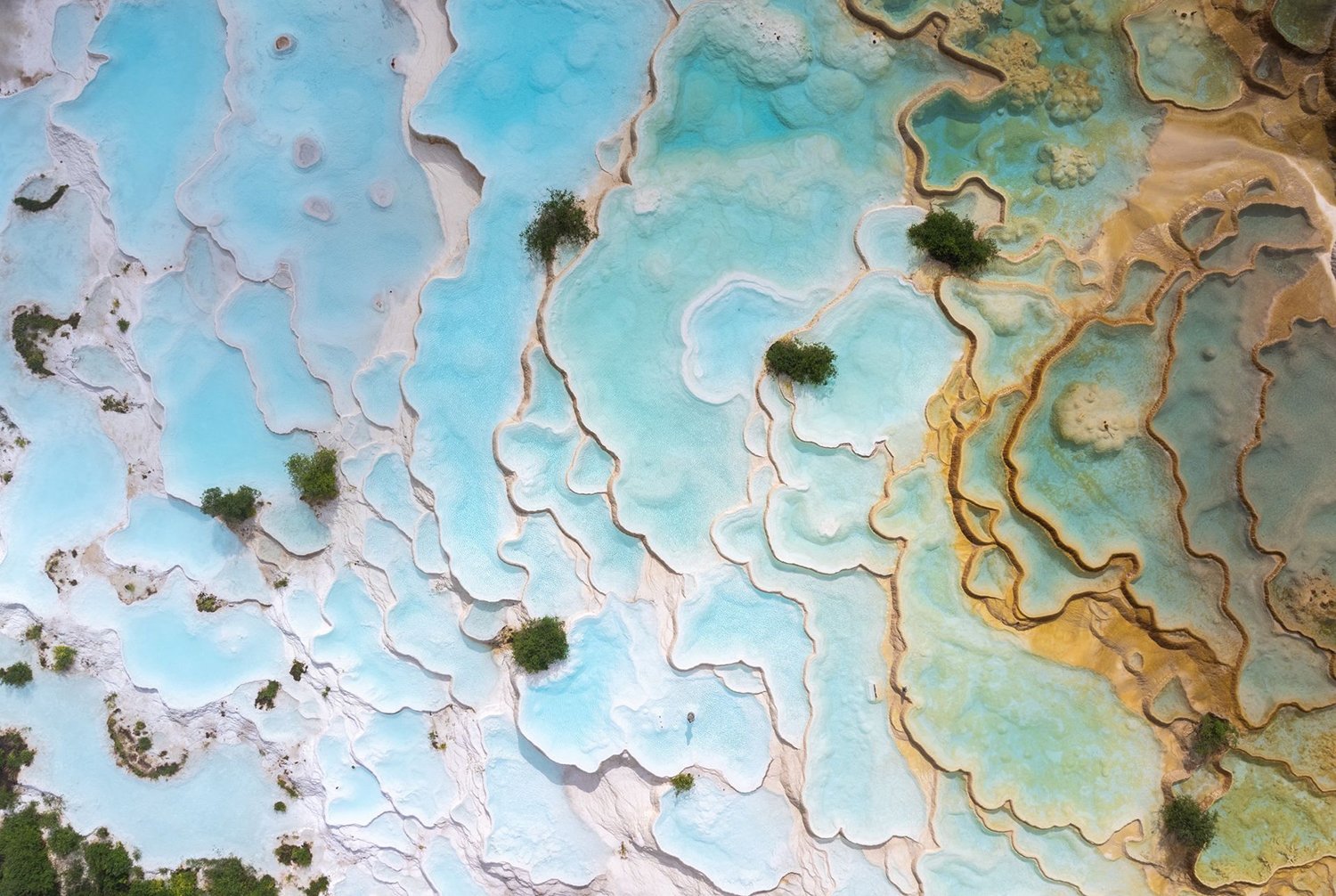 微信图片_20260225170136_287_14