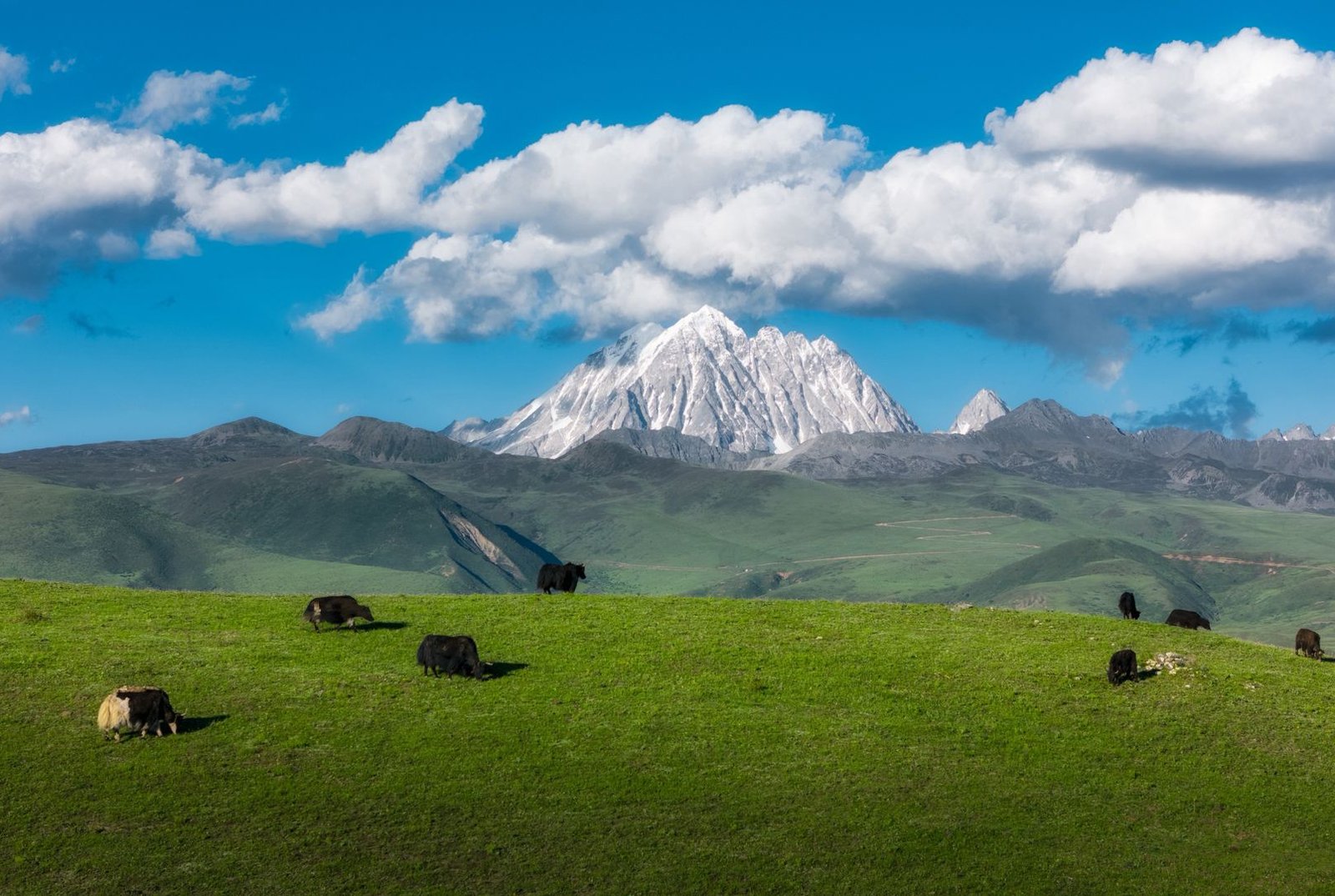 微信图片_20260226105722_296_14