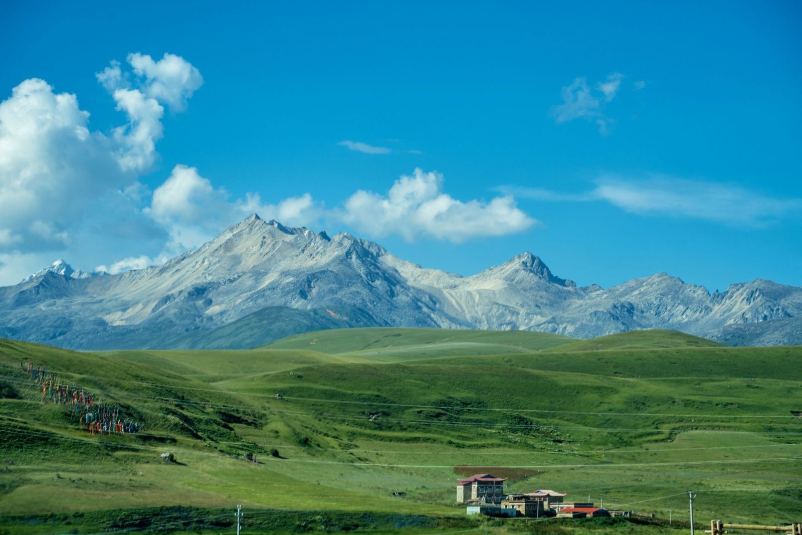 微信图片_20260226121949_300_14