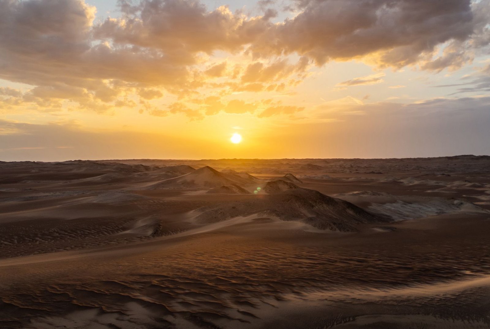 微信图片_20260228120908_391_14